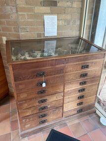 VSF Rock and Shell Collection