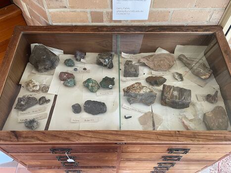 VSF Rock and Shell Collection