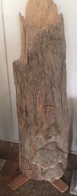 Plant specimen - Tree Trunk