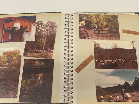 Toolangi Trip 2