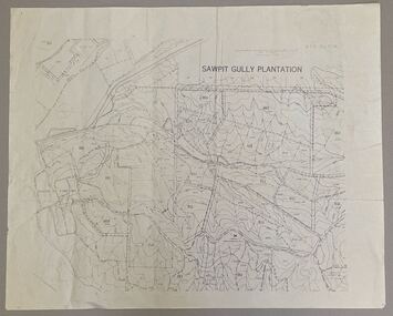 Map - Sawpit Gully Plantation showing plantation lots up to 1976, Sawpit Gully Plantation W.B.P No. 304