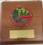 Plaque from the Memorabilia from the MDHVC for the car rally