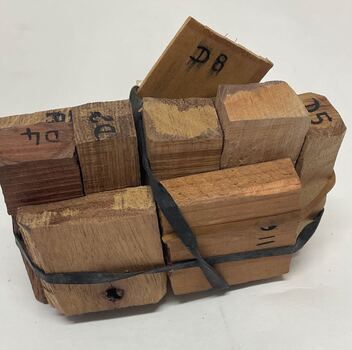 Wood identification samples