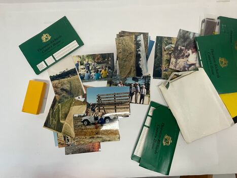 National Afforestation Program at the VSF