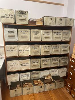 Wood samples in tin conatiners from the VSF