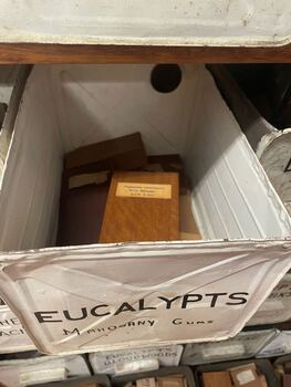 Wood samples in tin conatiners from the VSF - Close up