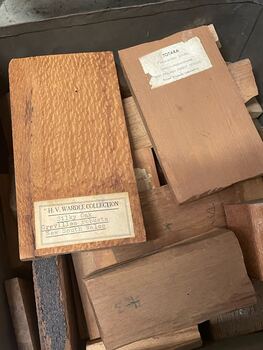 Wood samples in tin conatiners from the VSF - Close up