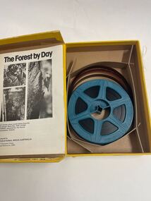 The Forest by Day