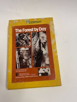 The Forest by Day