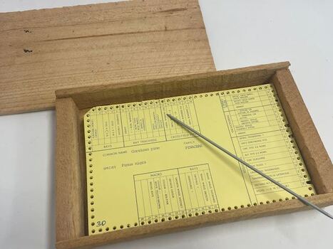 Card Sorting Keys for trees with sorting needle