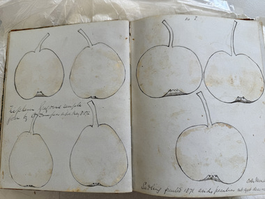 Book - Register, Coles' Richmond Nursery, no I Pear Book 1872, 1872