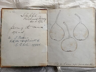 Book - Register, Coles' Richmond Nursery, Pears of the Season 1872-3, 1872-1874