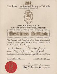 Certificate - Award Certificate, Royal Horticultural Society, The Royal Horticultural Society of Victoria, Trial Grounds Award, Burnley Horticultural Gardens, 1938
