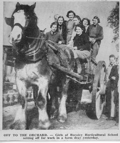 Newspaper - Newspaper Cutting, June de Chaneet, Off to the Orchard, C. 21.06.1939