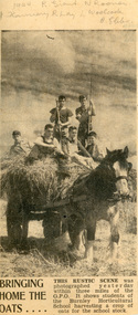Newspaper - Newspaper Cutting, Bringing home the oats, 1944