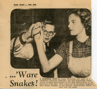 Newspaper - Newspaper Cutting, The Sun, …'Ware Snakes!, 1944