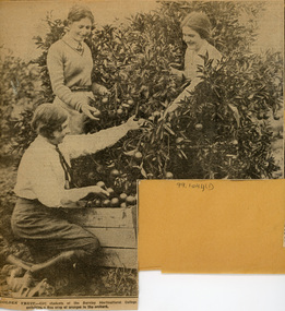 Newspaper - Newspaper Cutting, The Argus, Female Students Working in the Orchard, 1930-1940