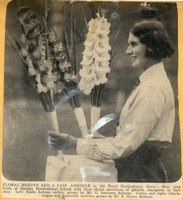 Newspaper - Newspaper Cutting, Jean Scott and Betty Holmes, 1931