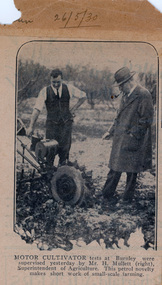 Newspaper - Newspaper Cutting, The Sun-News Pictorial, "And the glory of the garden shall never pass away" - Kipling, 1930-1940
