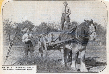 Newspaper - Newspaper Cutting, Twins at Work and Doing Time, 1930-1940