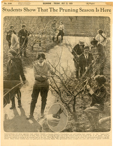 Newspaper - Newspaper Cutting, The Sun News-Pictorial, Students ShowThat The Pruning Season Is Here, 1929