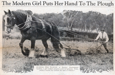 Newspaper - Newspaper Cutting, The Sun News-Pictorial, The Modern Girl Puts Her Hand To The Plough, 1930