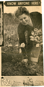 Newspaper - Newspaper Cutting, The Sun, Fewer Girls There Now, 1963