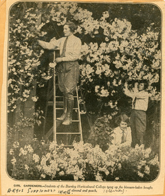Newspaper - Newspaper Cutting, The Argus, Girl Gardeners, 1930