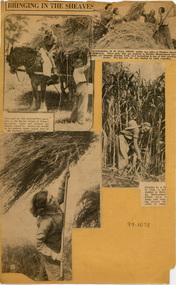 Newspaper - Newspaper Cutting, Bringing in the Sheaves, 1932-1934