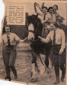 Newspaper - Newspaper Cutting, The Sun, Dobbin, 1937