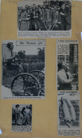 Newspaper - Newspaper Cutting, The Herald, Burnley Horticultural College, c. 1932