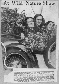 Newspaper - Newspaper Cutting, At Wild Nature Show, c. 1934