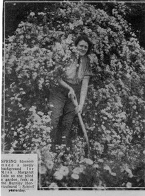 Newspaper - Newspaper Cutting, Spring Blossom, 1932-1934