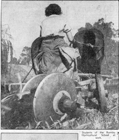 Newspaper - Newspaper Cutting, The Herald, Out-Door Careers for Modern Girls, 1939
