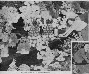 Newspaper - Newspaper Cutting, The Leader, Burnley School of Horticulture Display, c. 1941
