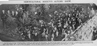 Newspaper - Newspaper Cutting, The Argus, Horticultural Soceity's Autumn Show, 1930