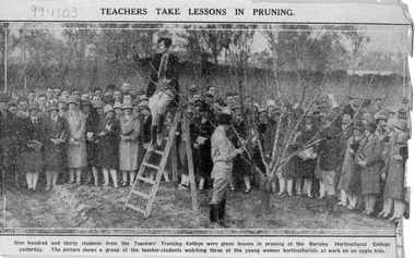 Newspaper - Newspaper Cutting, Teachers Take Lessons in Pruning, 1920-1940