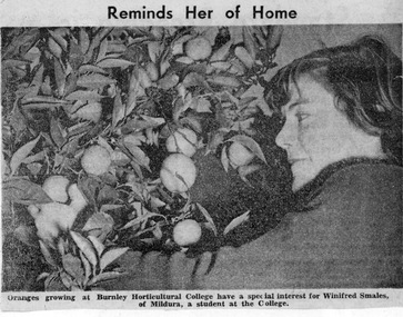 Newspaper - Newspaper Cutting, Reminds Her of Home, 1950