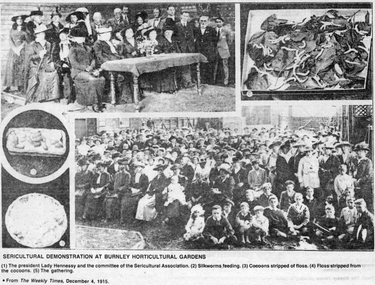Newspaper - Newspaper Cutting, The Weekly Times, 120 Years-a Celebration, 1915-1989