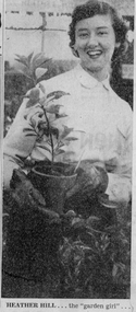 Newspaper - Newspaper Cutting, The Herald, Their Job-Gardens, 1955