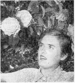 Newspaper - Newspaper Cutting, The Herald, Helen Wiltshire, 1955
