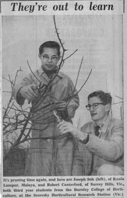 Newspaper - Newspaper Cutting, They're Out to Learn, 1961