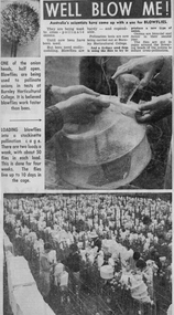 Newspaper - Newspaper Cutting, The Herald, Well Blow Me!, 1965