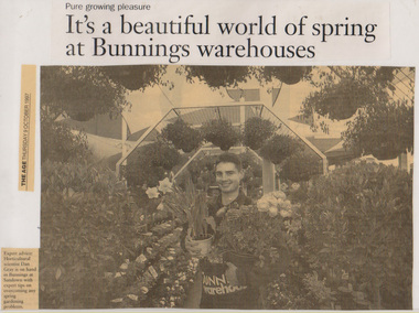 Newspaper - Newspaper Cutting, The Age, It's a Beautiful World of Spring at Bunnings Warehouses, 1997