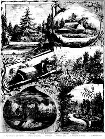 Newspaper - Newspaper Cutting, The Illustrated Australian News, Sketches at the Horticultural Society Gardens, 1887