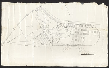 Plan, Burnley Gardens 1945, 1945