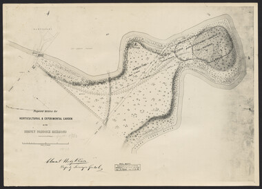 Map, Clement Hodgkinson, Proposed Reserve for Horticultural & Experimental Garden in the Survey Paddock, Richmond, 1862