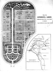 Plan, Plan of the Experimental Gardens of the Horticultural Society of Victoria. Survey Paddock. Richmond, c.1860-1862