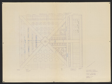 Plan, Concept Plan Pruning Garden Field Station VCAH Burnley, 1985-1995