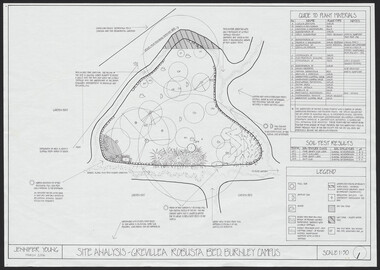 Plan, Jennifer Young, Grevillea Robusta Bed Burnley Campus, 2006